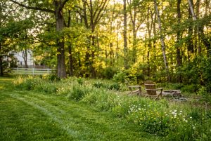 Mowed Pennsylvania backyard meeting tall grass and wildflowers at the edge of light woods, typical summer tick habitat in Montgomery County